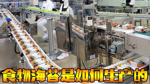 從海洋到餐桌 探秘韓國海苔工廠的自動(dòng)化生產(chǎn)與國民美食之旅